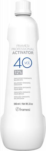 Активатор PROFESSIONAL ACTIVATOR 40 Vol., 12%, 946 мл купить в Минске. Доставка по Беларуси