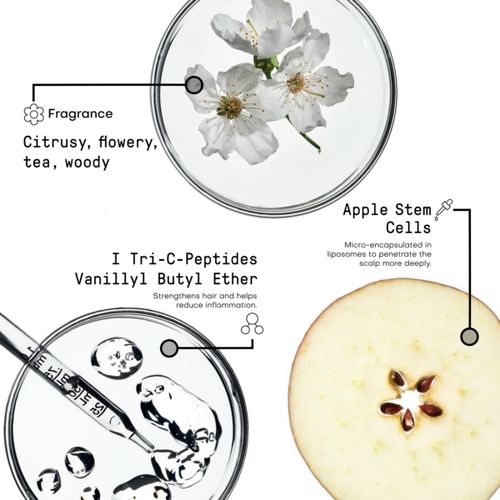 Сыворотка против выпадения волос FRAMESI MORPHOSIS HAIR TREATMENT LINE DENSIFYING ACTIVATOR, 12Х7мл купить в Минске. Доставка по Беларуси