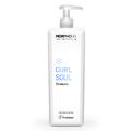 Шампунь для кудрявых и вьющихся волос CURL SOUL 1000 мл купить в Минске. Доставка по Беларуси